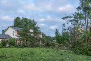 Windstorm caused damaged to home by fallen tree