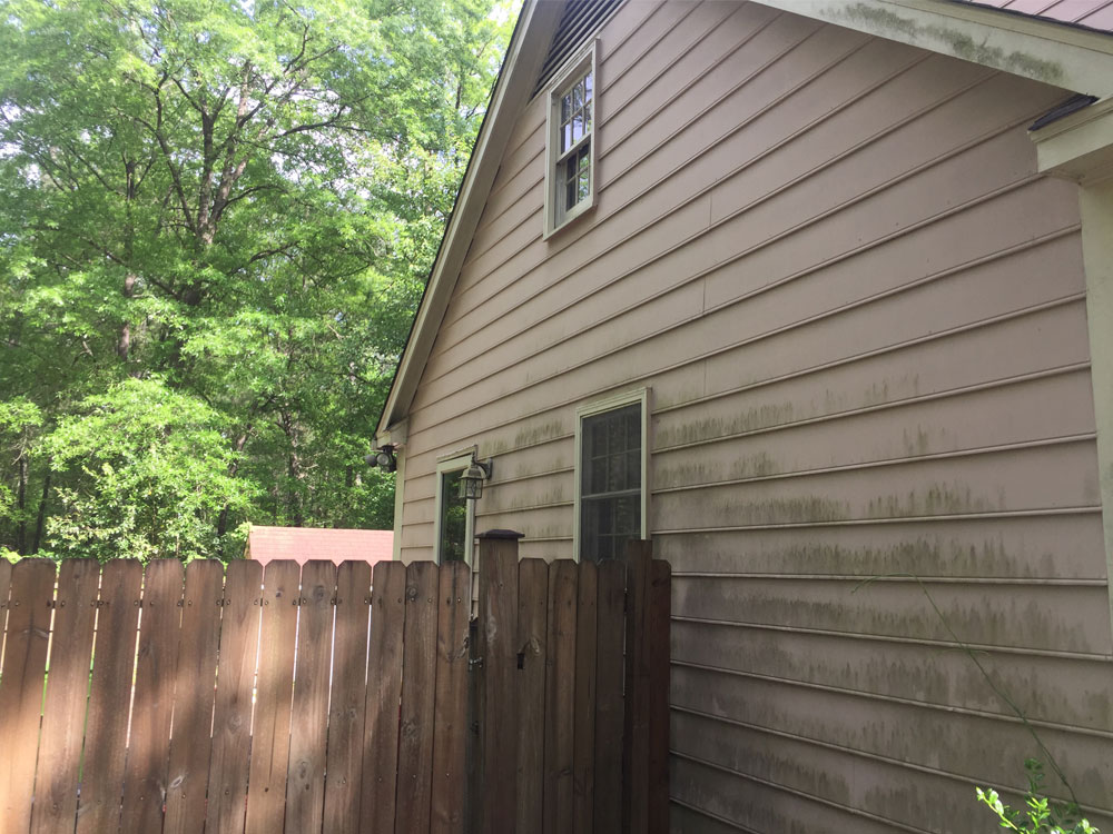 Siding with growth and damage.