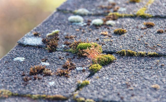 New grey blue siding put on house.