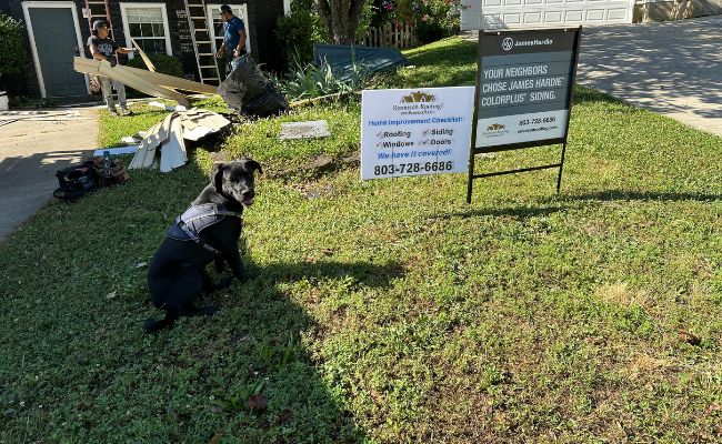 Windows replaced by Rennison Roofing
