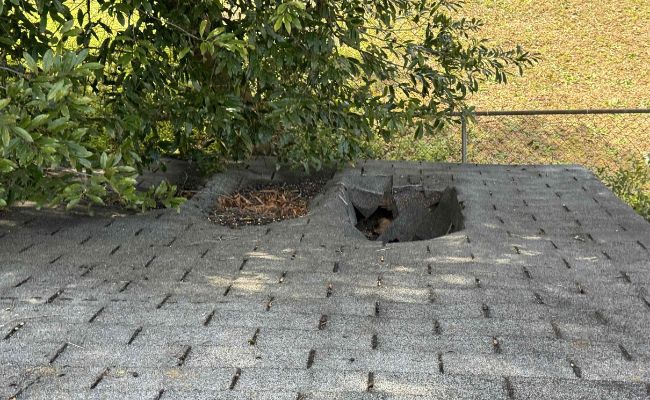 Roof being replaced. Shingles off. New underlayment paper showing.