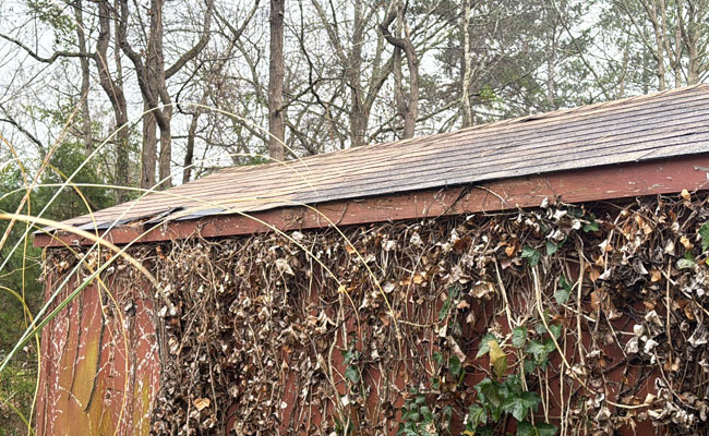 The Columbia, SC Roof Inspection Checklist: A 20‑Minute Walkaround (No Ladder Required)