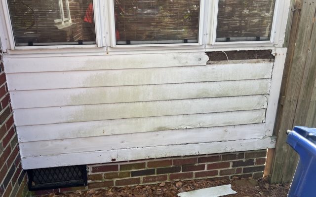 Close-up of damaged, discolored white wood siding under a window frame in need of repair.